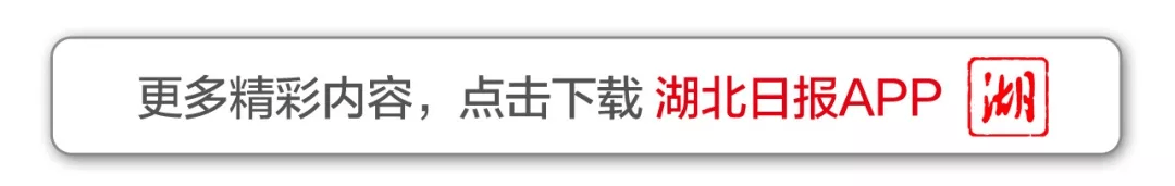 World Cup football platform agent _王忠林到省人大常委会省政协省法院省检察院调研