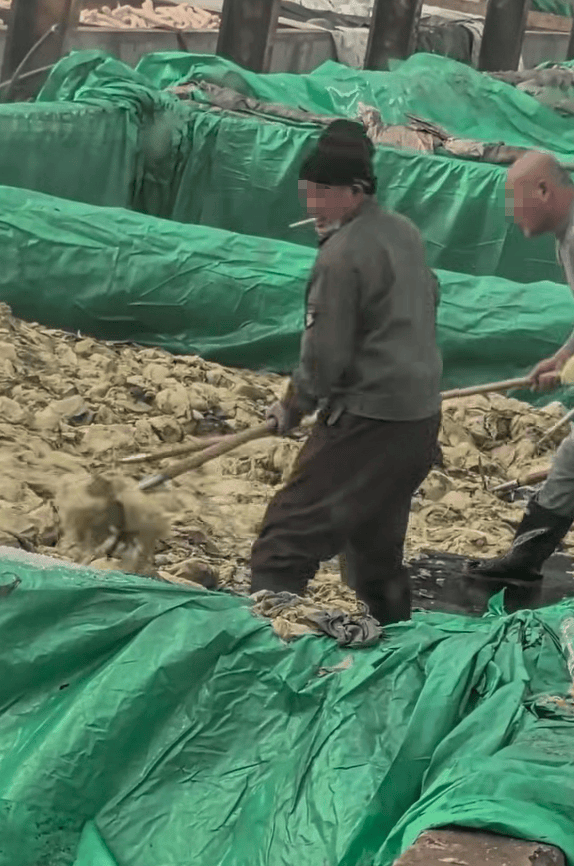 世界杯信用网会员
_辽宁葫芦岛一男子酸菜池中抽烟吐痰世界杯信用网会员
，曝光视频令人反胃！省市两级市监介入