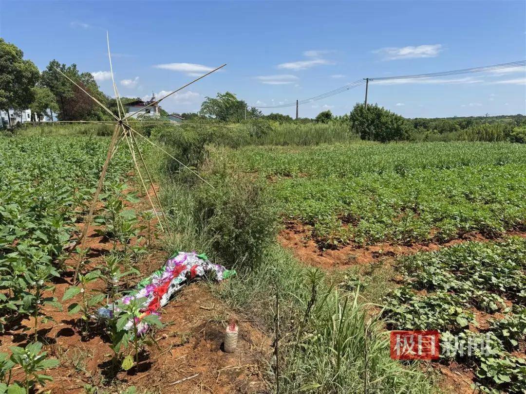 世界杯信用网正网
_头部中弹！近日安徽18岁男孩深夜遭遇枪击世界杯信用网正网
，枪是从哪来的？