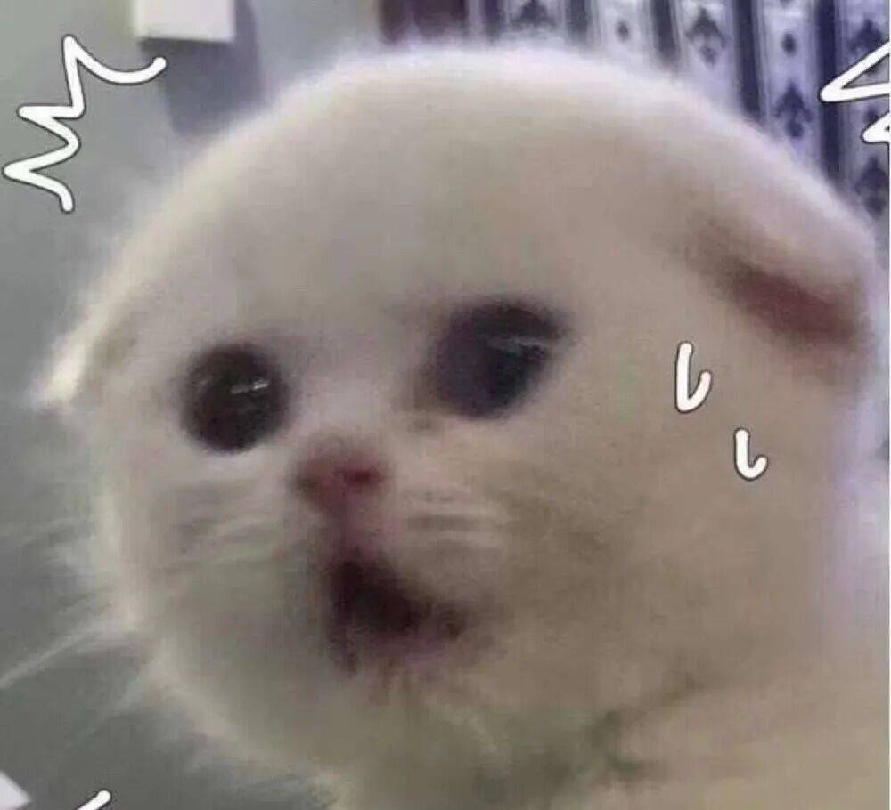 足球平台代理怎么做
_上海一对婆媳因阻碍加梯足球平台代理怎么做
,与五位邻居“大打出手”!