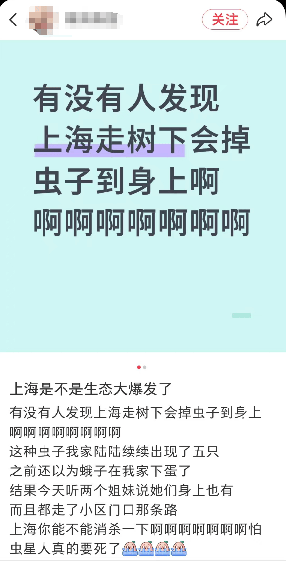 皇冠会员如何申请
_汽车被虫子啃得都是窟窿皇冠会员如何申请
，“一边咬一边往里钻”！很多人中招