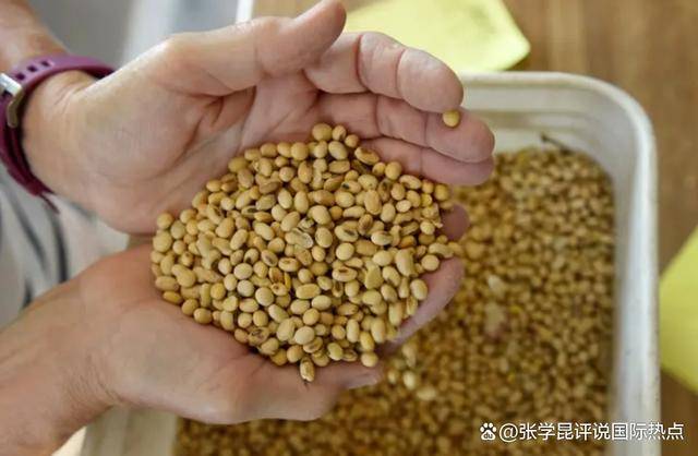 正版皇冠信用网开户
_48小时内正版皇冠信用网开户
,中方连下3令,特朗普别高兴太早,承诺一个都不能少