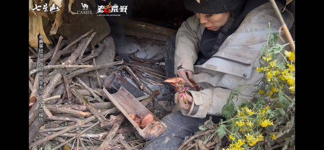 皇冠信用盘开户
_“冷美人”退赛皇冠信用盘开户
，错失20万奖金