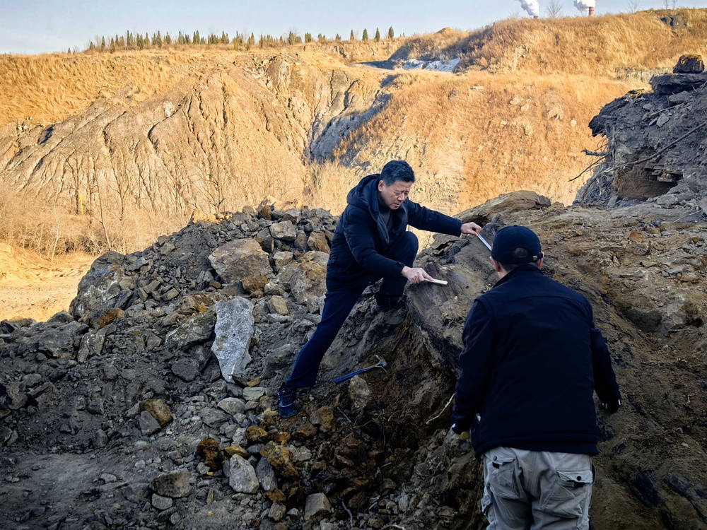 多明尼加共和国 vs 墨西哥
_山西省阳泉市太旧高速路改线工程现场发现国家一级重点保护木化石