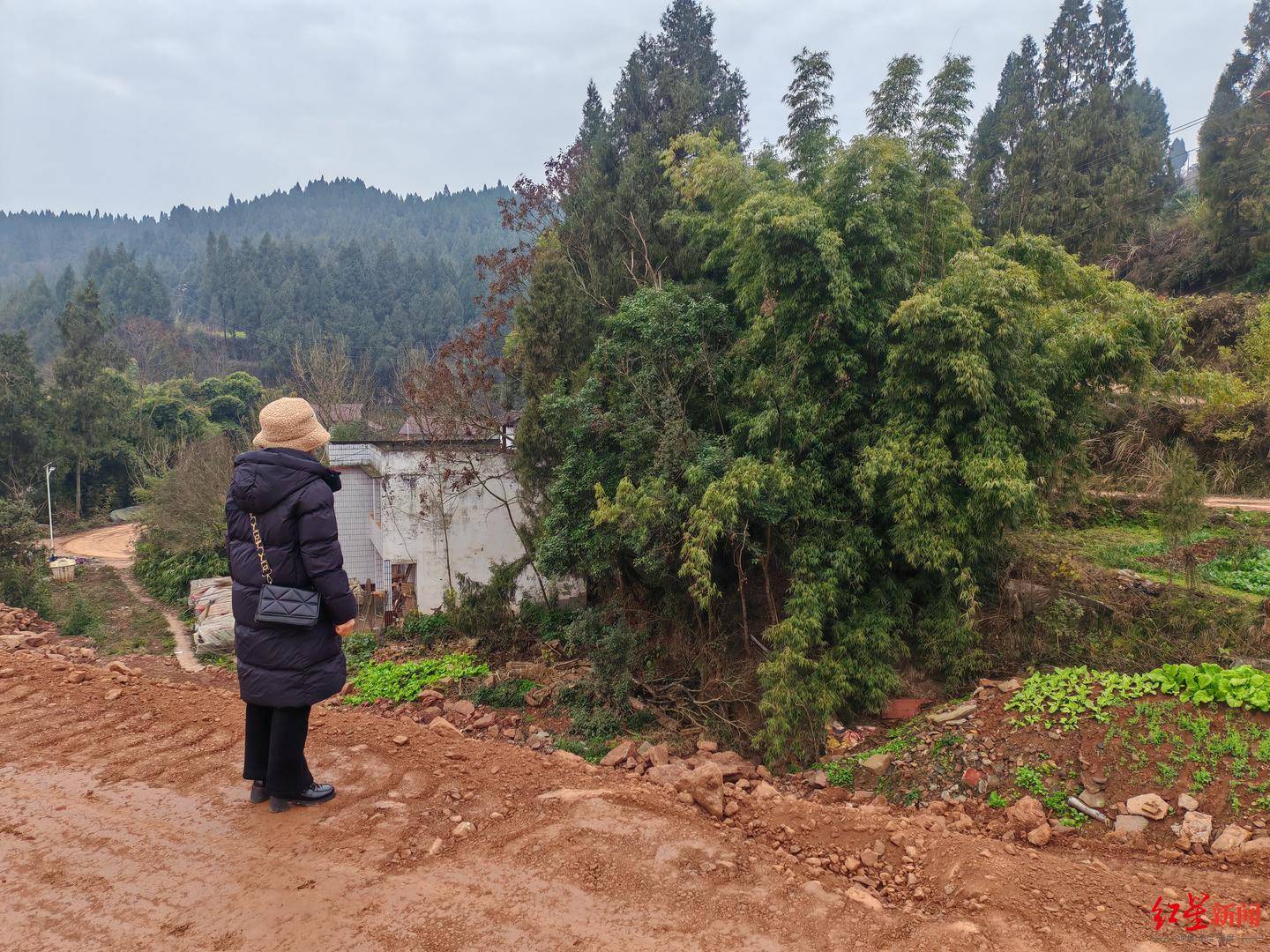 皇冠信用盘额度_南充一村庄村民房屋因建高速路拆迁皇冠信用盘额度，至今未找到新宅基地建房 官方回应