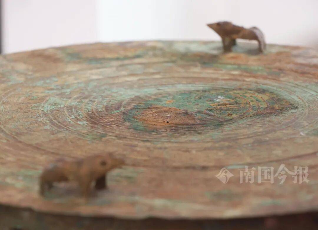 皇冠信用网登3代理
_柳州钓鱼阿叔竹林挖蚯蚓皇冠信用网登3代理
，竟挖出千年前的“大宝贝”！