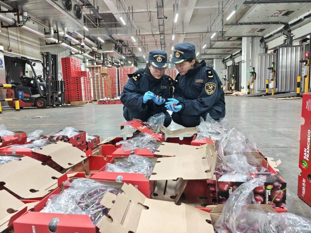 江原vs全北现代_价格腰斩！广州正大量上市江原vs全北现代，商家：还能降