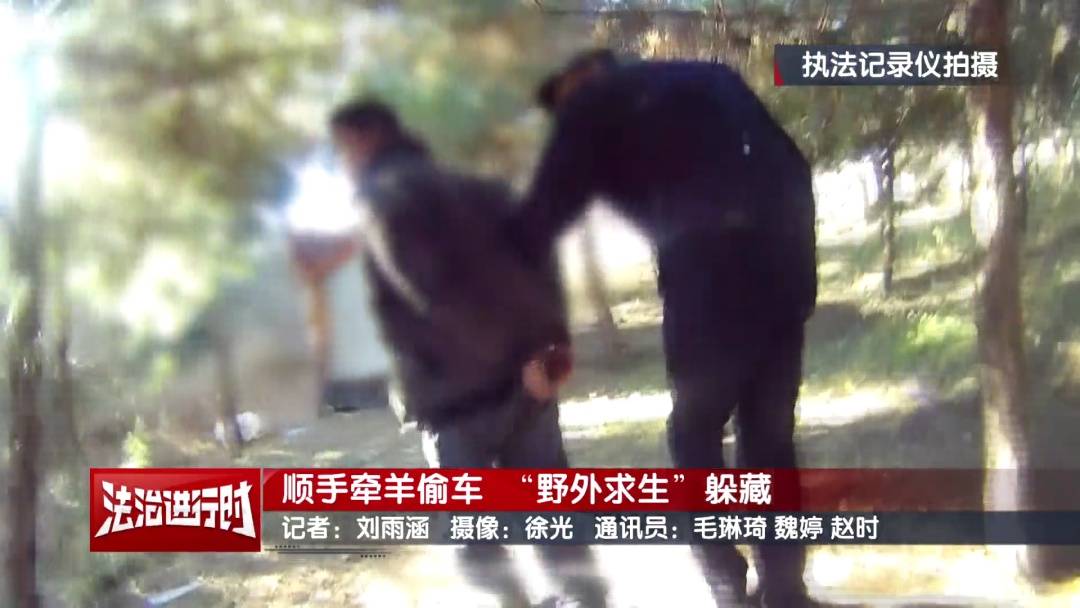 维塞乌U23 vs雷克斯欧斯U23
_北京警方刑拘1名“荒野求生”爱好者