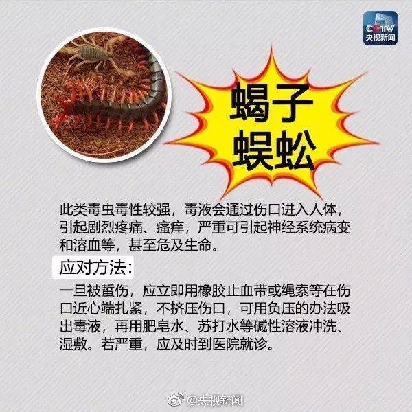 皇冠信用网登3_网友炸锅皇冠信用网登3！广东多个公园、绿化带中出现！深圳疾控紧急提醒：远离这种小土堆