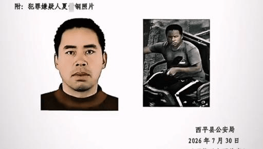 欧冠比分_西平命案嫌疑人逃亡十日始末：并不存在的“村霸”欧冠比分，和收割了无辜者的谣言风暴丨红星调查