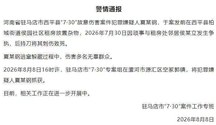欧冠比分_西平命案嫌疑人逃亡十日始末：并不存在的“村霸”欧冠比分，和收割了无辜者的谣言风暴丨红星调查