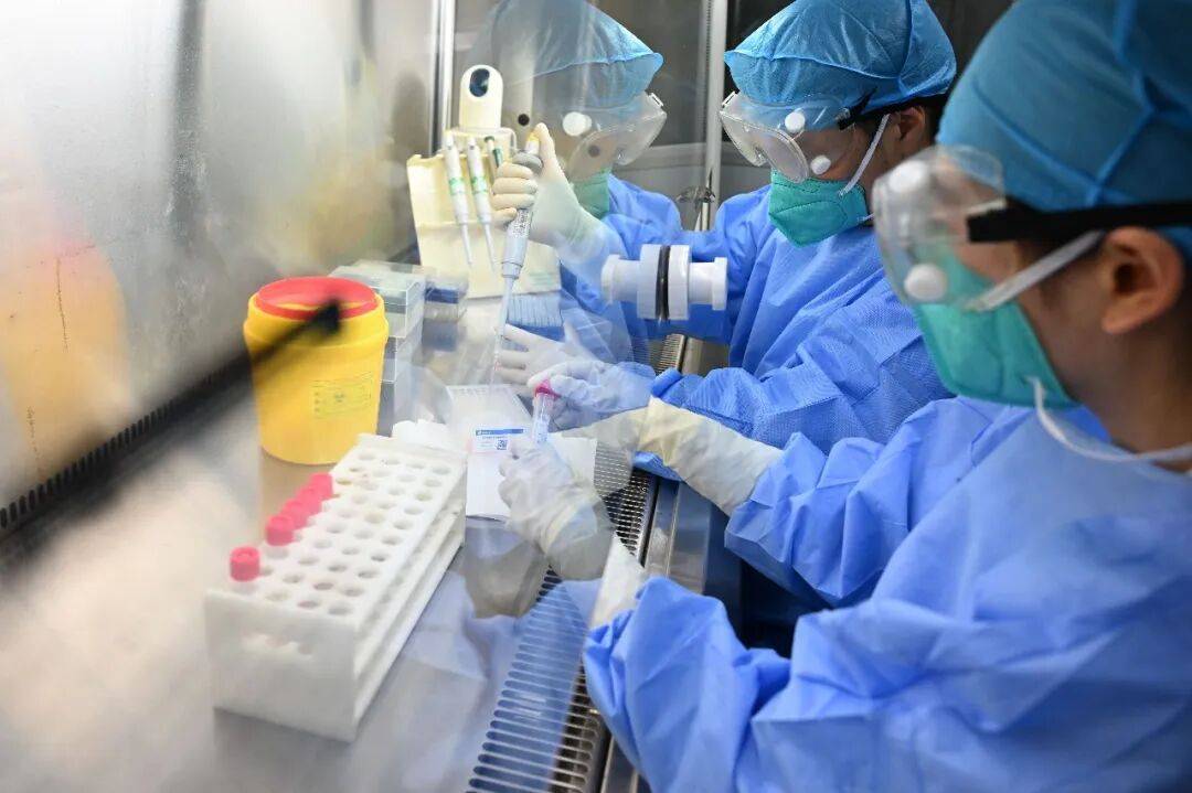波兰甲组联赛_传染性强波兰甲组联赛，酒精也无效！河南省疾控中心：诺如病毒将进入高峰期