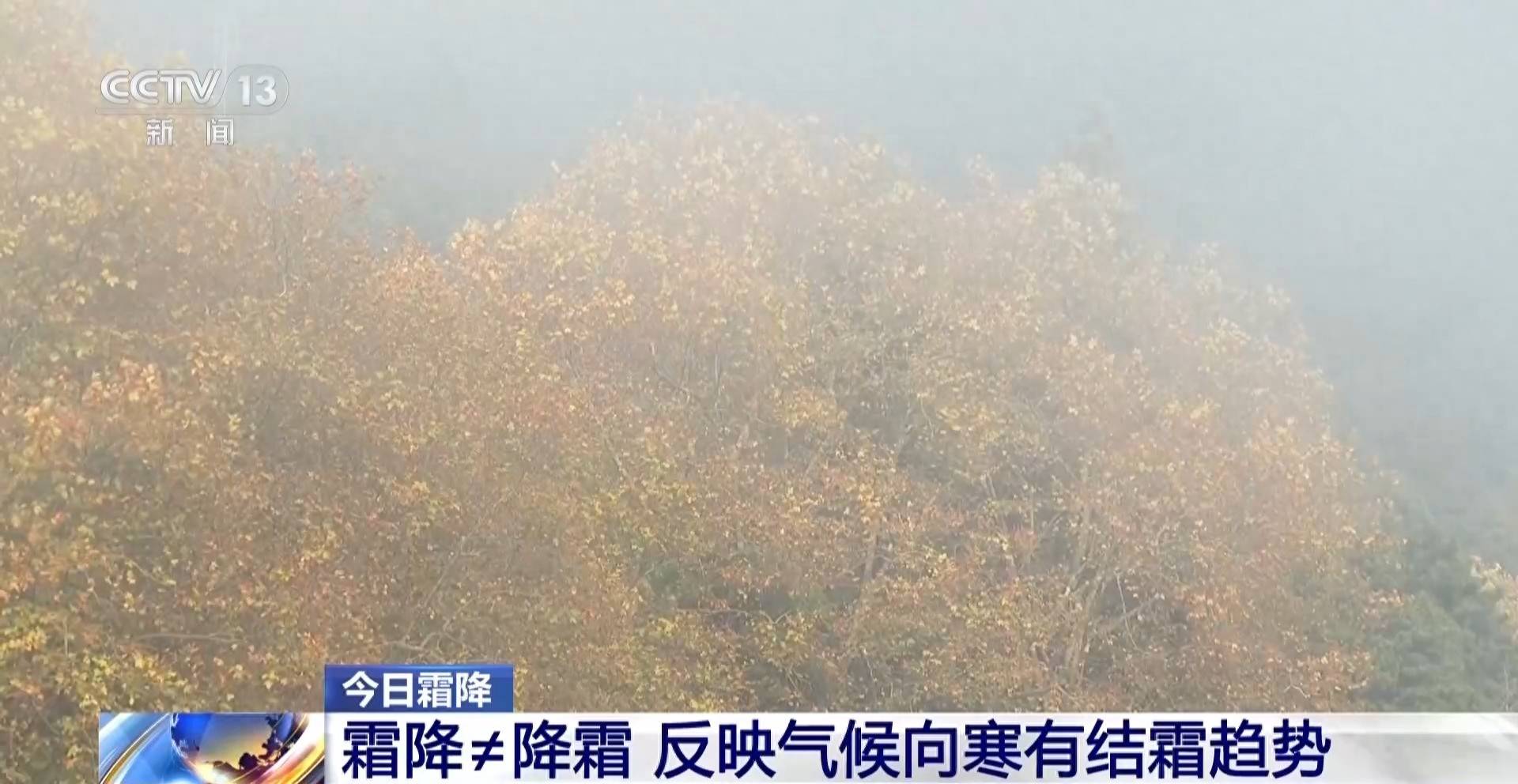 墨西哥超级联赛-特别投注_霜降天一定会降霜吗墨西哥超级联赛-特别投注？霜降≠降霜