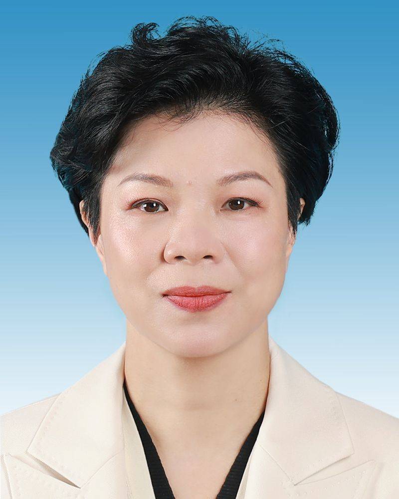 巴西乙组联赛
_新一届新疆维吾尔自治区党委常委简历